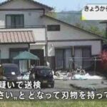 レス1番の画像2