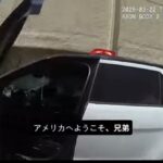 レス19番の画像1