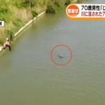 レス1番の画像4