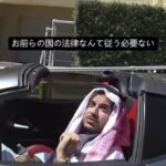 レス13番の画像1