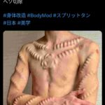 レス13番の画像1