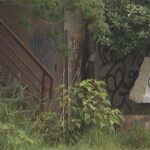レス2番のリンク先のサムネイル画像