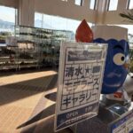 レス4番の画像1
