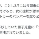 レス28番の画像1