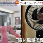 レス16番の画像1