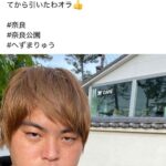 レス17番の画像1