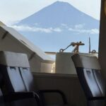 レス20番の画像1