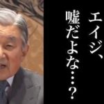 レス14番の画像1