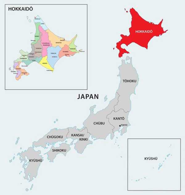 記事サムネイル