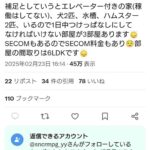 レス1番の画像2