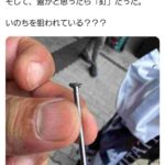 レス1番の画像1