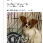 レス1番の画像1