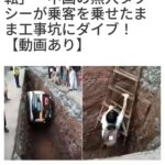 レス40番の画像1