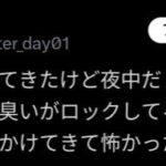 レス1番の画像3