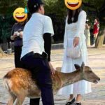 レス1番の画像2