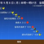 レス30番の画像1