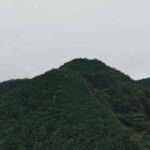 レス23番の画像1
