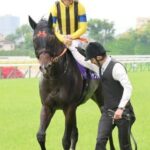 レス71番のリンク先のサムネイル画像