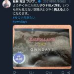 レス1番の画像3