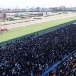 レス4番のリンク先のサムネイル画像