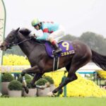 レス63番のリンク先のサムネイル画像