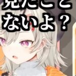レス33番の画像1