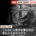 レス1番の画像7