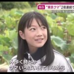 レス1番の画像2