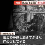 レス1番の画像9