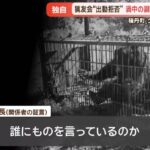 レス1番の画像6