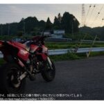 レス24番の画像1