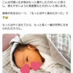 レス54番の画像1