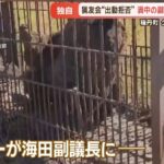 レス1番の画像4