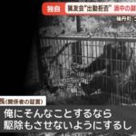 レス1番の画像8