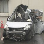 レス2番のリンク先のサムネイル画像