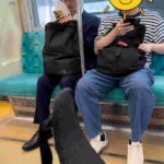 レス3番の画像1