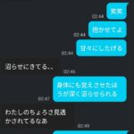 レス1番の画像8