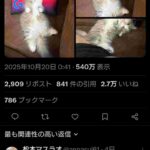 レス180番の画像1