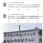 レス6番の画像1