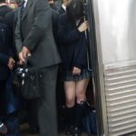 レス31番の画像2