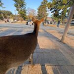 レス29番の画像3