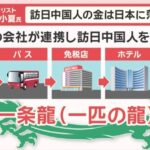 レス10番の画像1