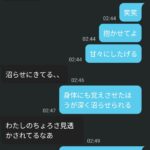 レス25番の画像8