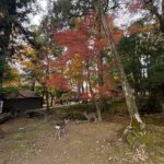 レス5番の画像3