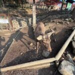 レス1番の画像3