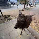 レス10番の画像2