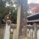 レス5番の画像1