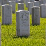 レス10番のリンク先のサムネイル画像