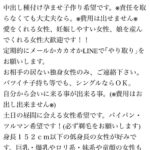 レス9番のリンク先のサムネイル画像