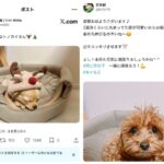 レス1番の画像1